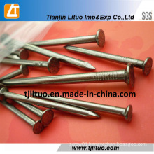 Best Quality Wire Steel Nails